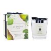 JO MALONE - English Pear & Freesia Scented Candle (Gift Box) L9YK01 200g (2.5 inch)